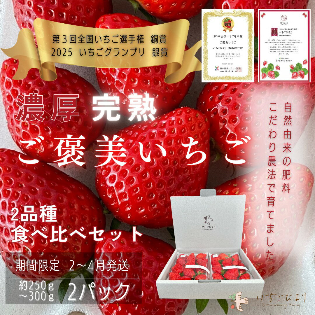 【ふるさと納税】完熟いちご食べ比べセット　品種おまかせ　滋賀県愛荘町産 送料無料 いちご 紅ほっぺ よつぼし みおしずく あまえくぼ2026年2月～2026年4月頃発送 BJ01