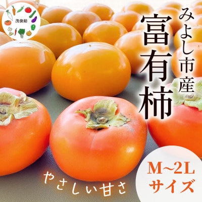 茂俊結の富有柿　約3kg(16個)【1663858】