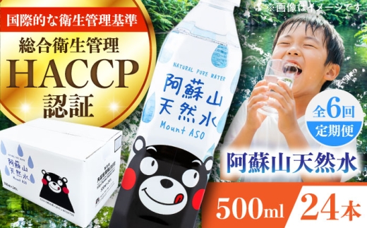 【全6回定期便】阿蘇山天然水 500ml 24本×1ケース/ 国産 ナチュラルウォーター ミネラルウォーター 天然水 水 軟水 人気 阿蘇の天然水 熊本県 菊陽町【丸富産業株式会社】 [BHDG009]