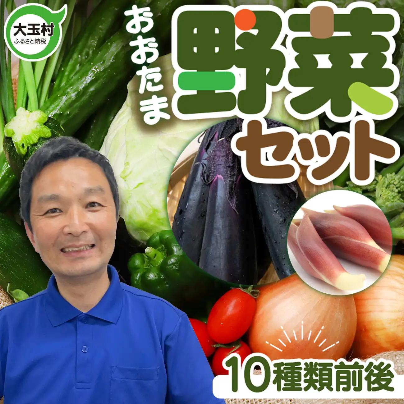野菜セット 野菜 10種類前後 数量限定
