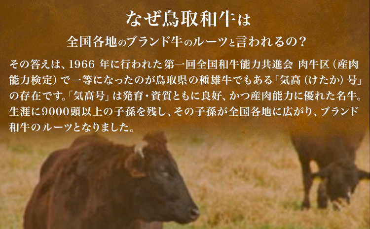 【和牛セレブ】鳥取和牛半頭分 約96.8~100kg 配送回数 12分括 『和牛セレブ｜お肉ギフト専門店』《ご入金を確認してから約1ヶ月後に配送開始》鳥取県 八頭町 和牛 牛 牛肉 国産 黒毛和牛 半