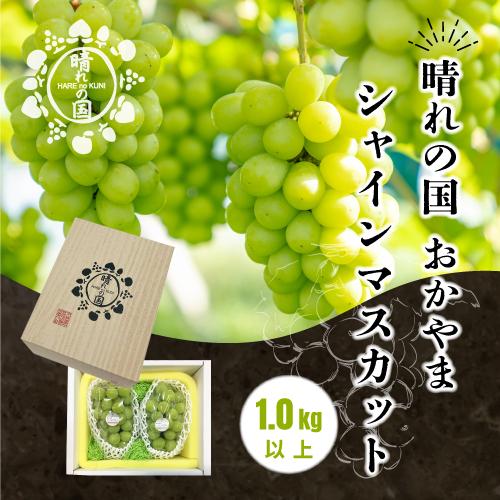 岡山県産 シャインマスカット 1kg以上（2～3房）＜2025年9月上旬～10月下旬発送＞