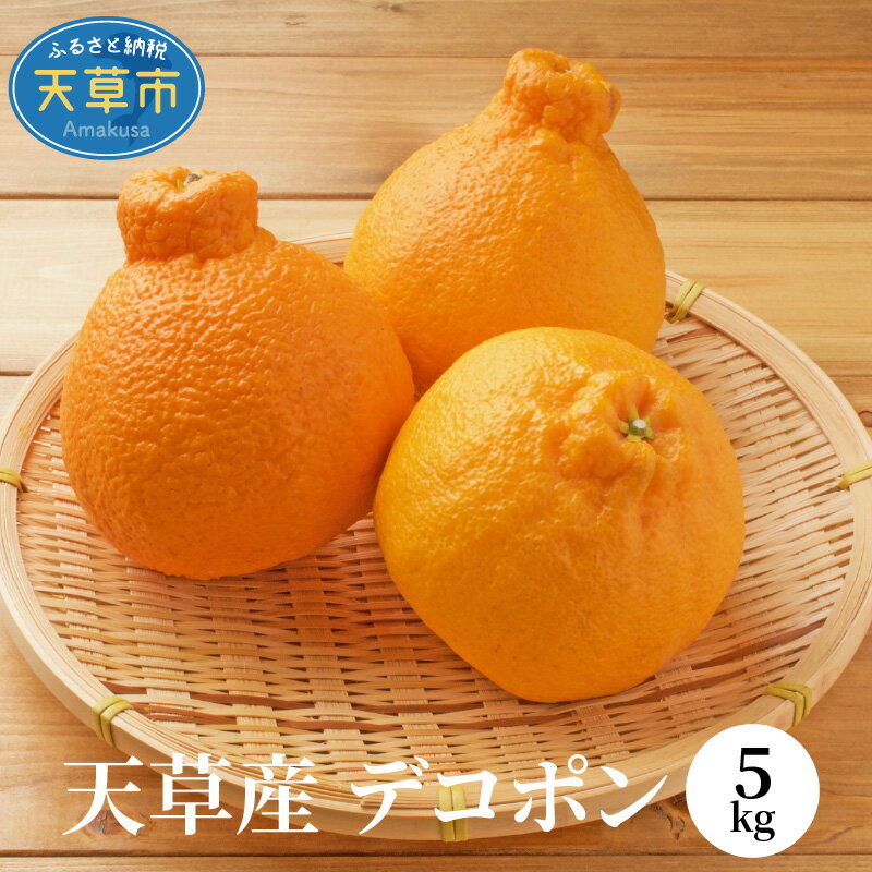 【ふるさと納税】先行予約 天草産 デコポン 5kg JA 本渡五和 みかん選果場 ジューシー 高糖度 多果汁 しっかりとした味わい 柑橘 果物 フルーツ 国産 みかん デザート 果実 食品 食べ物 旬 常温 九州 熊本県 天草市 お取り寄せ お取り寄せフルーツ 送料無料