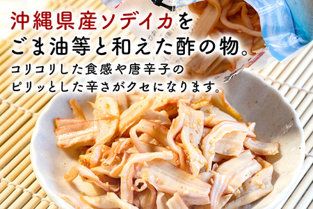イカ 中華イカ 合計800g ( 200g × 4パック ) 那覇魚類 123-5