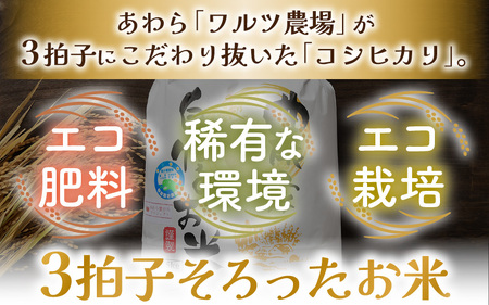 【令和7年産】《定期便6回》ワルツ農場の直播き コシヒカリ クリーン精米（無洗米） 5kg（計30kg） / お米 ご飯 白米 発送直前 精米 つや 艶 甘味 旨み あわら市産 福井県産 慣行栽培 コ