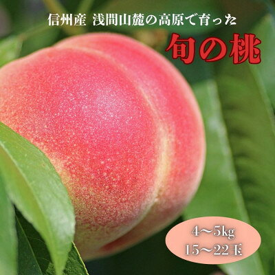 【ふるさと納税】長野県浅間山麓　御代田町の桃(4～5kg)【配送不可地域：離島・北海道・沖縄県】【1754264】