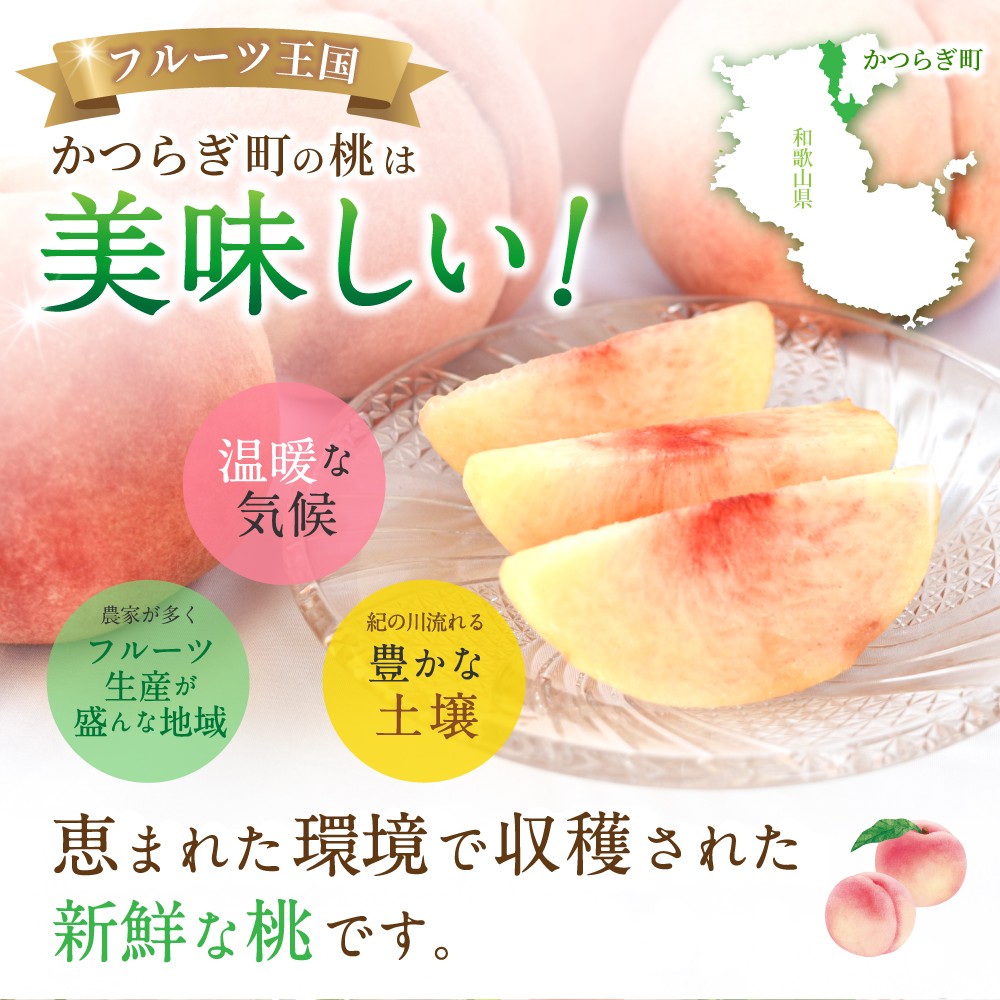 【2026年発送分先行予約】数量限定！【モモ】川中島白桃 約2kg 6個入 100個に1個の特選最上級秀品！ こだわり農家厳選！【2026年7月末から8月末順次発送】/ 和歌山県 もも 桃 高級 贅沢