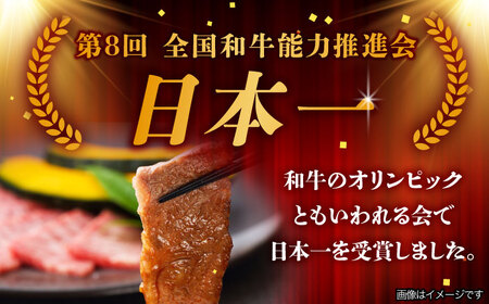 【4月発送】飛騨牛 焼肉用 ロース・肩ロース 500g A5等級 [TAZ030-4]