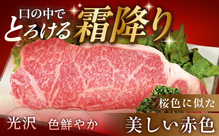 【チルド（冷蔵）発送！】 「飛騨牛」 A5等級 サーロインステーキ 200g×5枚 / 牛肉 焼肉 鉄板焼き 網焼き BBQ / 恵那市 / 東美濃農業協同組合 [AUFX014]