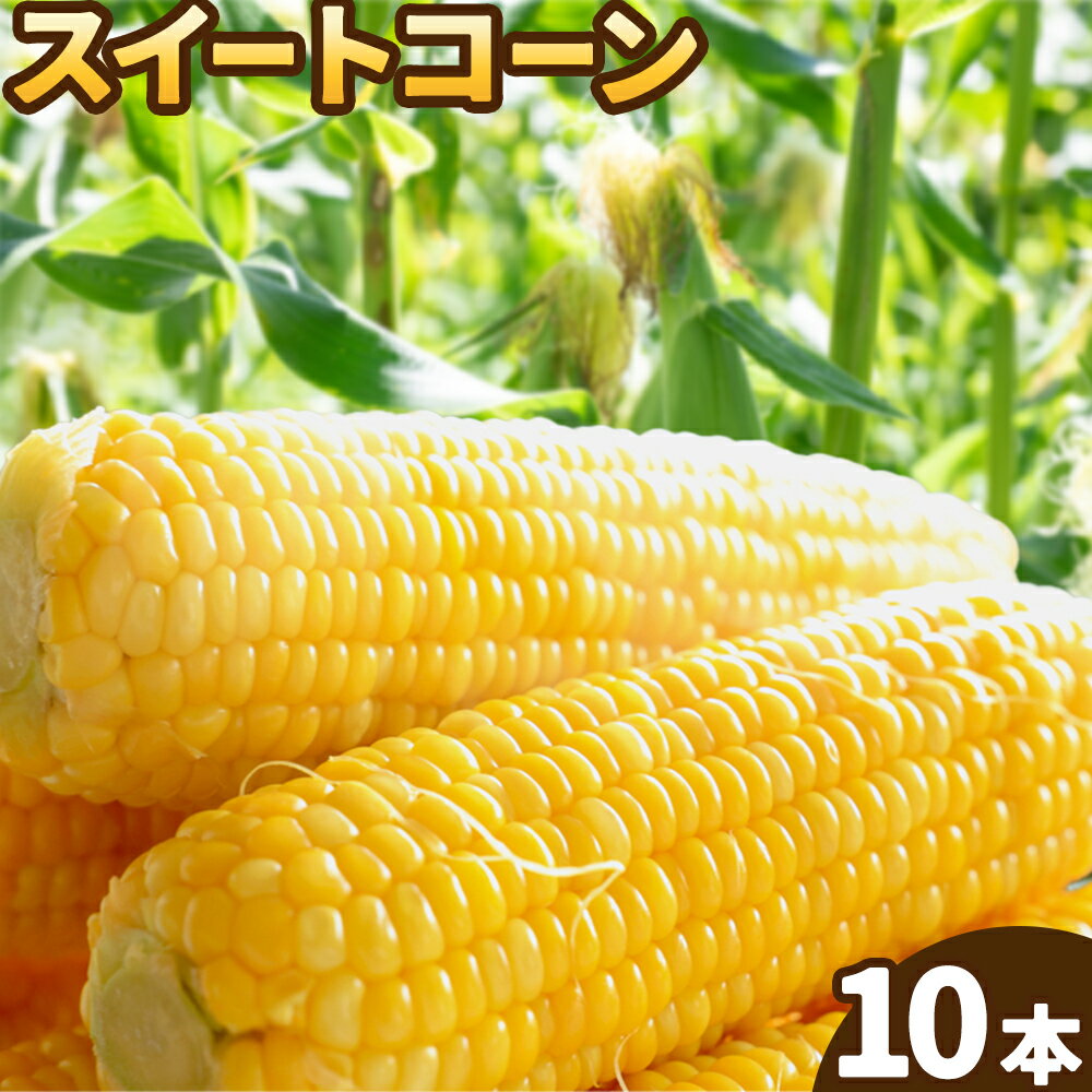 【ふるさと納税】とうもろこし スイートコーン 10本 高橋商店《2026年5月中旬-6月下旬頃出荷》熊本県 苓北町 野菜 コーン 玉蜀黍 コーンバター 焼きとうもろこし コーンスープ
