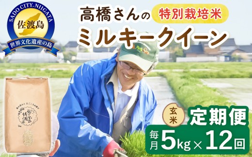佐渡島産【12か月定期便 ミルキークイーン】佐渡島産ミルキークイーン 玄米 合計60kg（5kg×毎月お届け全12回）令和8年産 新米 特別栽培米 | 新潟県産ミルキークイーン 新潟産ミルキークイーン 佐渡産ミルキークイーン みるきーくいーん お米 米 玄米 げんまい 水稲うるち玄米 ブランド米 おこめ コメ 5キロ にいがた さど 新潟県 佐渡市