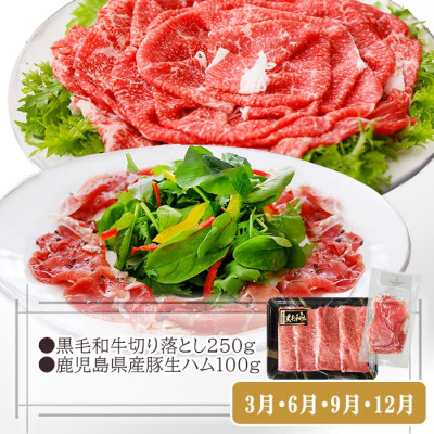 【お肉充実定期便】黒毛和牛・すき焼き・黒豚・焼肉・しゃぶしゃぶ　3回配送　OO-0005 ふるさと納税 定期便 肉 牛肉 豚肉 生ハム しゃぶしゃぶ 焼肉 カレー すき焼き 黒豚 黒毛和牛 鹿児島県 