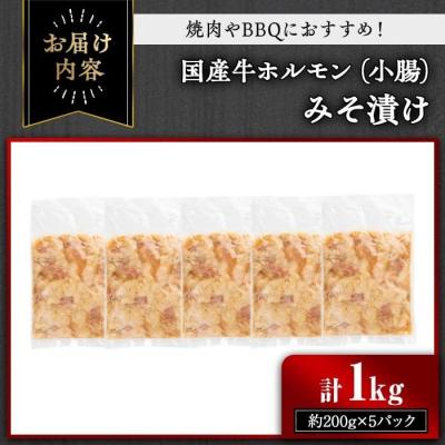 ふるさと納税 曽於市 国産牛ホルモン(小腸)みそ漬け1kg |  | 01