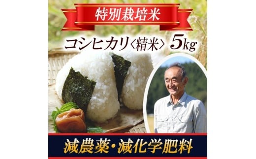 コシヒカリ 5kg×1袋 令和7年産米 特別栽培米 山形県遊佐産 鳥海山の恵 東北 遊佐町 庄内地方 庄内平野 米 お米 精米 白米 庄内米 ごはん ご飯