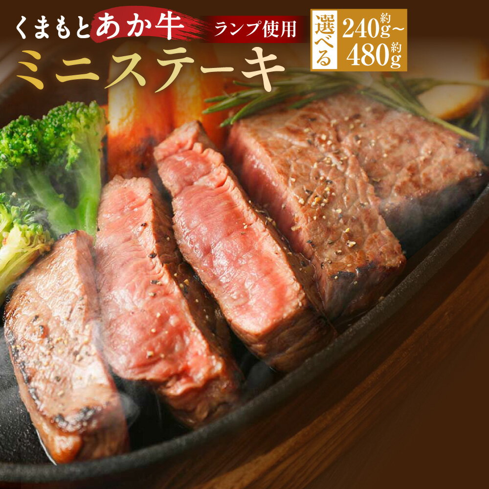 【ふるさと納税】＜選べる容量＞くまもとあか牛 ミニステーキ ランプ使用 約240g または 約480g 1パック約120g 国産 九州産 熊本県産 希少部位 お肉 肉 ステーキ ステーキ肉 ランプ 小分け 冷凍 送料無料