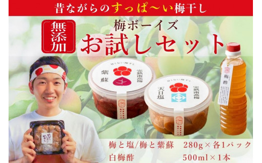
            【お試し・無添加梅干し】梅干し（天日塩漬け、紫蘇漬け 各280g×1パック）、白梅酢1本セット ／ 南高梅　umehkr008
          