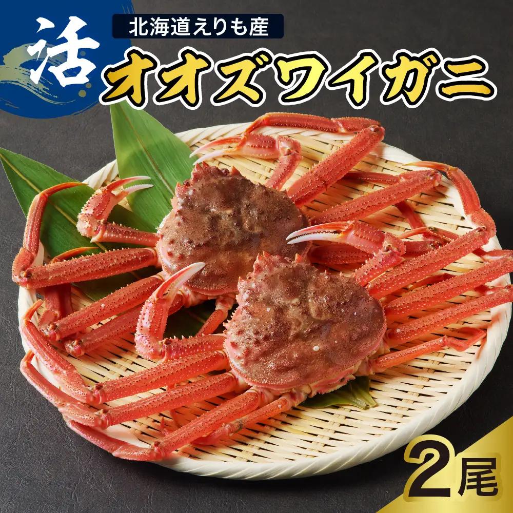 【2026年1月下旬以降発送】活オオズワイガニ2尾【えりも産】【er004-008-e】活 オオズワイガニ 1尾あたり 大ズワイ 大ズワイガニ ズワイガニ ズワイ かに 蟹 魚介 海鮮 新鮮 生 人気 送料無料 国産 道産 北海道産 北海道 えりも産 襟裳