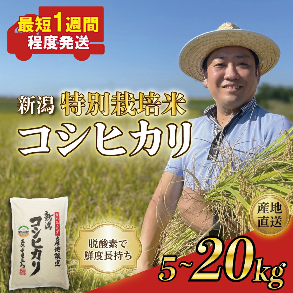 【ふるさと納税】 新潟県産 特別栽培米 コシヒカリ 5kg 10kg 20kg 選べる 容量 令和7年産 こしひかり 特栽米 米 月岡 温泉 お米 こめ ご飯 ごはん おいしい 単品 新潟米 新潟 新潟県 新発田産 新潟産 朝食 昼食 夕飯 炊きたて 精米 watasho004P