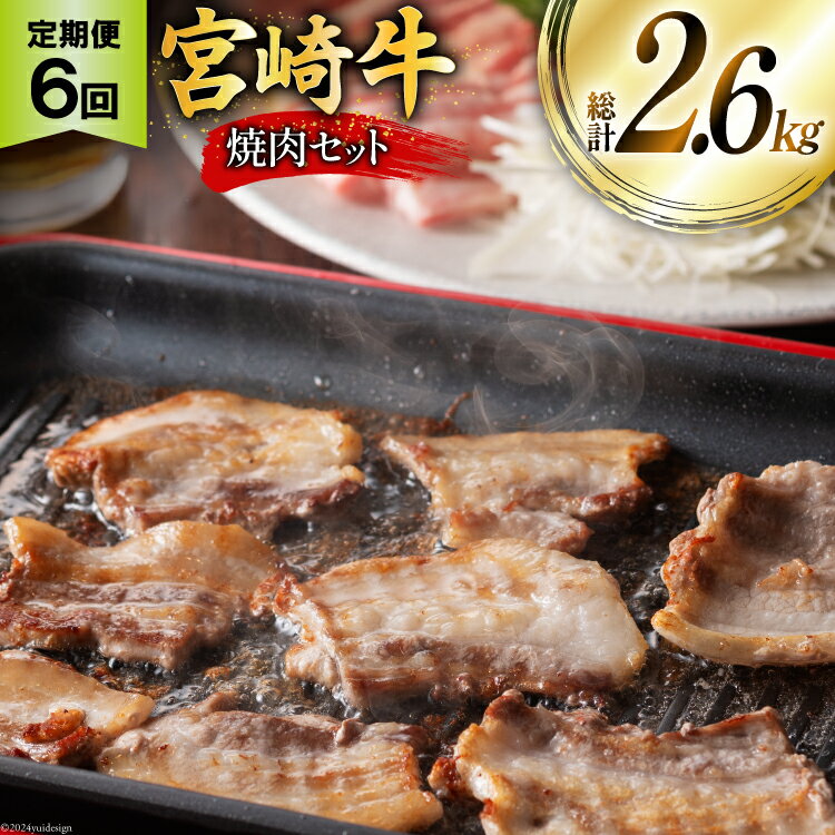 【ふるさと納税】牛肉 定期便 宮崎牛焼肉セット 6ヶ月定期便 [ミヤチク 宮崎県 美郷町 31au0089] 冷凍 焼肉 小分け 個包装 牛 牛肩ロース 牛ウデ 牛モモ