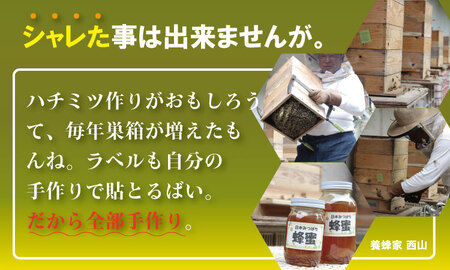 はちみつ 日本蜜蜂 百花蜜 500g B120-080 はちみつ 国産