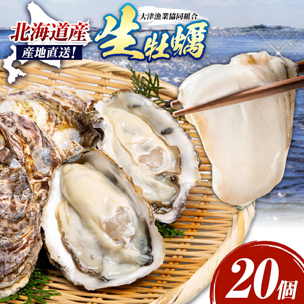 【ふるさと納税】生食用 生牡蠣 20個 殻付き 産地直送 大津漁業協同組合 2026年先行予約 北海道 豊頃町 大津産 牡蠣 かき カキ 生ガキ 刺身 焼き牡蠣 蒸し牡蠣 バーベキュー BBQ 海鮮 旬 贅沢 グルメ 産直 送料無料 《5月中旬-6月下旬頃出荷》