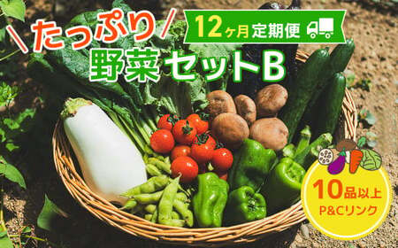 【12ヶ月 定期便 】たっぷり 野菜セット B 10品 以上 季節 旬 野菜 詰合せ 春野菜 夏野菜 秋野菜 きのこ 葉物 果物 果菜 根菜 冷蔵 野菜室 ダイエット 食 栄養食 加工品 カット野菜 岩手県産 北上産 季節限定 稀少 数量限定 山菜 ブロッコリー たまねぎ さつまいも とうもろこし サラダ トマト しいたけ アスパラガス 岩手県 北上市 M0072 P＆Cリンク