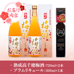 熟成高千穂梅酒14度(720ml×2本)と高千穂樫樽梅原酒プラムリキュール18度(300ml×1本)【MU026】【日之影町村おこし総合産業(株)】
