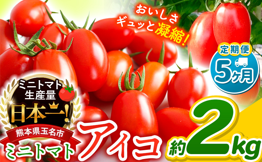 
                  【 定期便 5回 】ミニトマト アイコ 約 2kg サザキ農園 ｜ 野菜 トマト 熊本 サザキ農園 ミニトマト 生産量 日本一 玉名市 !! くまもと たまな
                