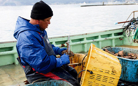 牡蠣のガンガン焼き 殻付き10個セット 浜焼き 海鮮 牡蠣