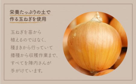 【身体にやさしい！】玉ねぎたっぷりスープセット（5袋分）【玉葱農家 陣内ちひろ】[IAO006]