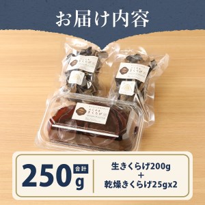 富士山の大自然が育てた「ふじやま きくらげ」(生きくらげ200g、乾燥きくらげ25g×2) きくらげ 乾燥きくらげ 生きくらげ ふじやまきくらげ きくらげ キクラゲ