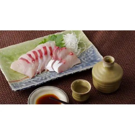 【地魚】五島列島旬の地魚大漁セット 魚介類 A198