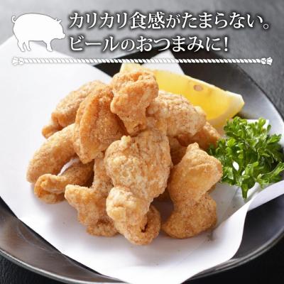 ふるさと納税 古賀市 博多揚げホルモン(20袋セット) |  | 03