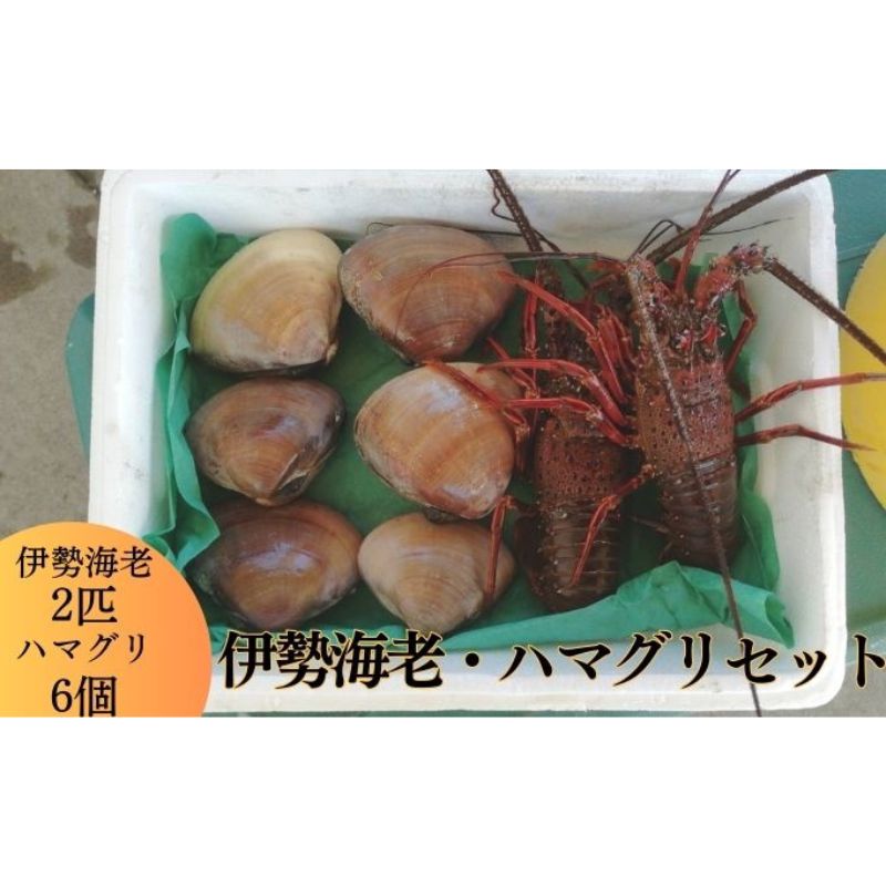 【ふるさと納税】伊勢海老 ハマグリ 茅ヶ崎の幸 豪華 セット 新鮮 朝どれ 烏帽子産 漁師からそのままお届け　　 魚貝類 海鮮セット 海の幸セット 高級素材 天然伊勢海老 甘みが強い バーベキュー BBQ