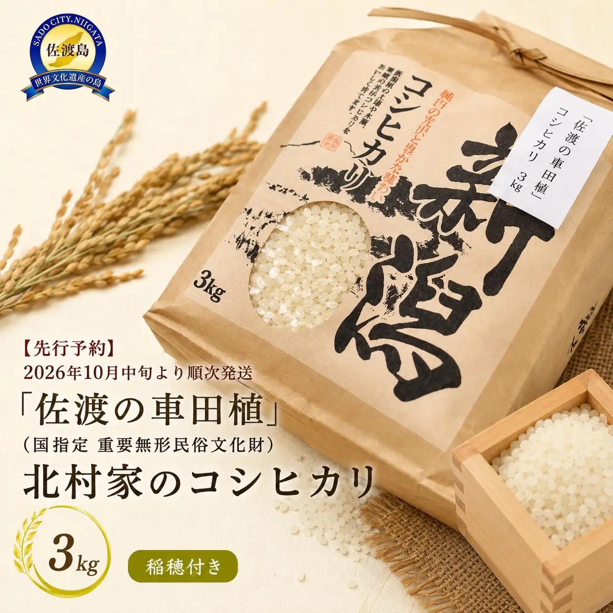 【先行予約】コシヒカリ3kg 2026年10月中旬より順次発送 佐渡の車田植 国指定 重要無形民俗文化財 北村家 稲穂付き コシヒカリ