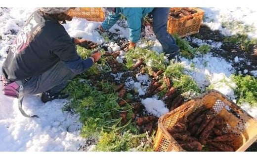 メディアにも紹介されています。