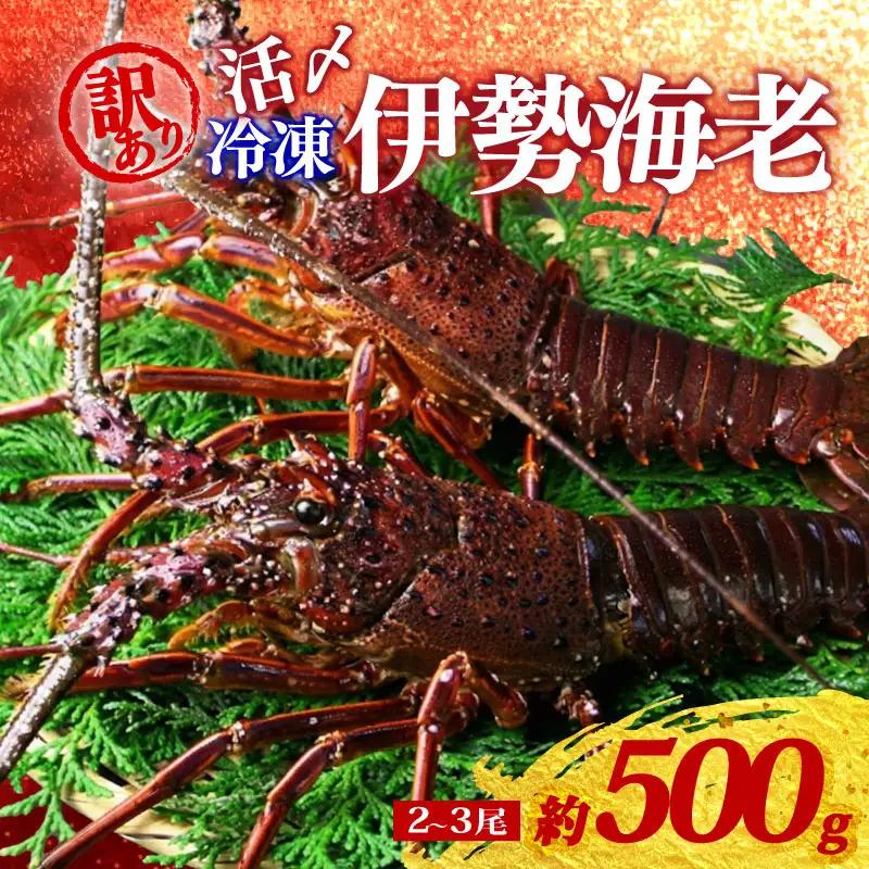 冷凍 伊勢海老 2~3尾 約500g 訳あり伊勢海老