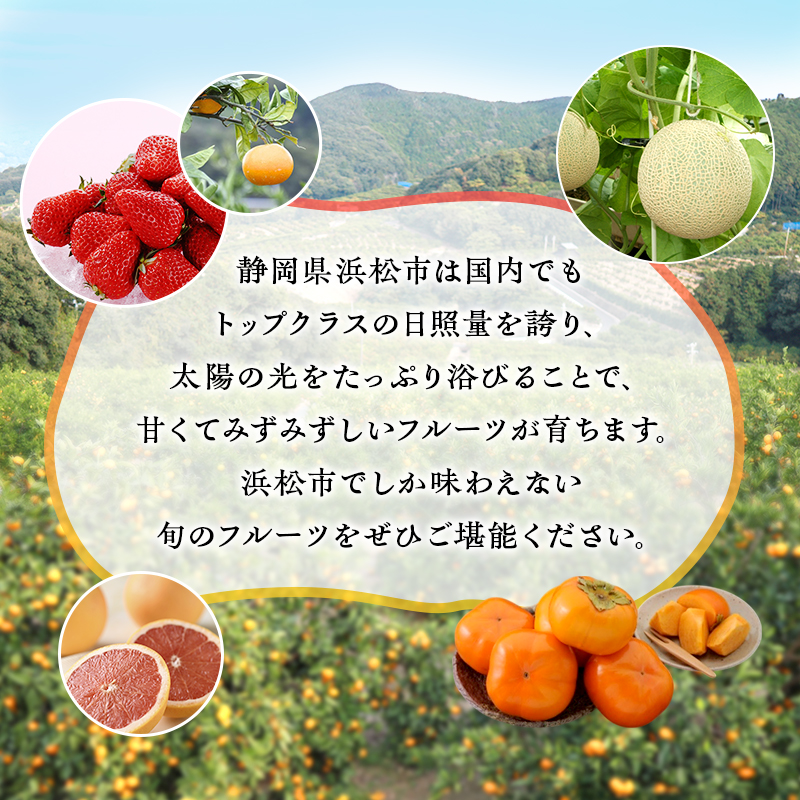 【2026年1月中旬より発送】 フルーツ 定期便 2ヶ月 三ヶ日みかん 紅ほっぺ フルーツ定期便 青島みかん みかん いちご 果物 旬のフルーツ 旬の果物 季節のフルーツ 静岡 静岡県 浜松市 2回 
