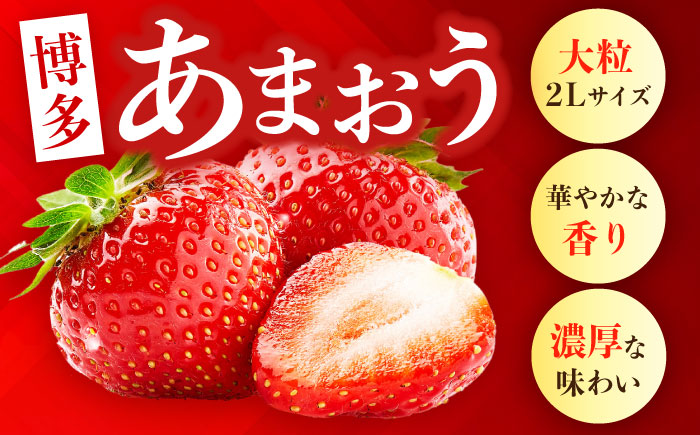 【2月1日より順次発送】農家直送 朝採り新鮮いちご【博多あまおう】約270g×2《築上町》【株式会社H&Futures】 [ABDG003]