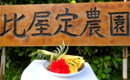 パイナップル【2026年発送】比屋定農園「久米定パイン」ゴールドバレル 2玉（4kg以上）  パイン