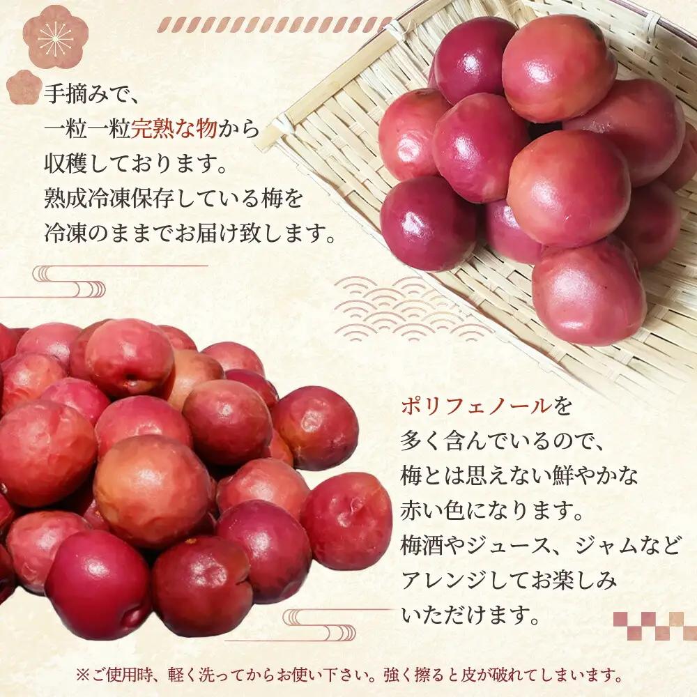 小高の露茜 (完熟熟成冷凍梅) 1kg | 梅 福島県