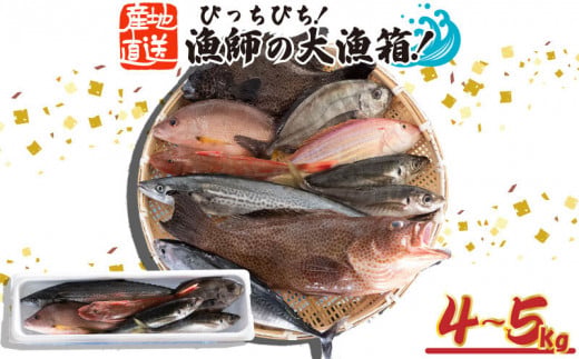 魚 鮮魚 ボックス 4kg～5kg 【丸貴水産】