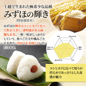 令和8年産 先行予約 新潟 米 定期便 みずほの輝き 新米 【6ヶ月連続お届け】5kg×6回 30kg 30キロ 6か月 上越市 新潟県 おすすめ 限定