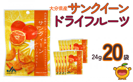 
サンクイーンドライフルーツ 24g×20袋 熨斗対応 ドライフルーツ 柑橘系 オレンジ ミカン ドライオレンジ みかん 大分県産 九州産 津久見市 熨斗対応
