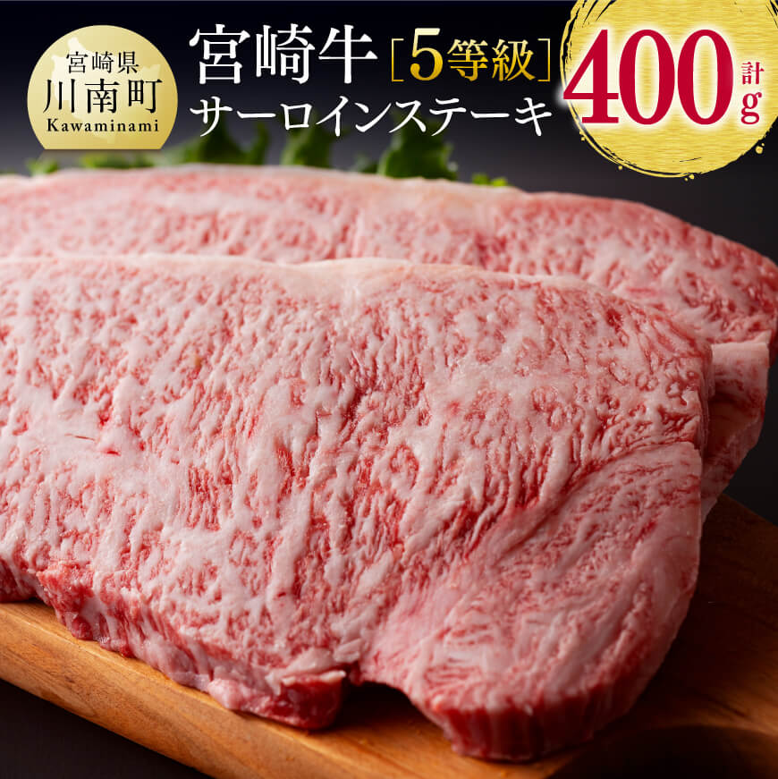 【ふるさと納税】※レビューキャンペーン※5等級！ 宮崎牛 サーロインステーキ 400g - 牛 肉 牛肉 国産 宮崎県産 九州産 黒毛和牛 和牛 ステーキ 高級 5等級 D00643