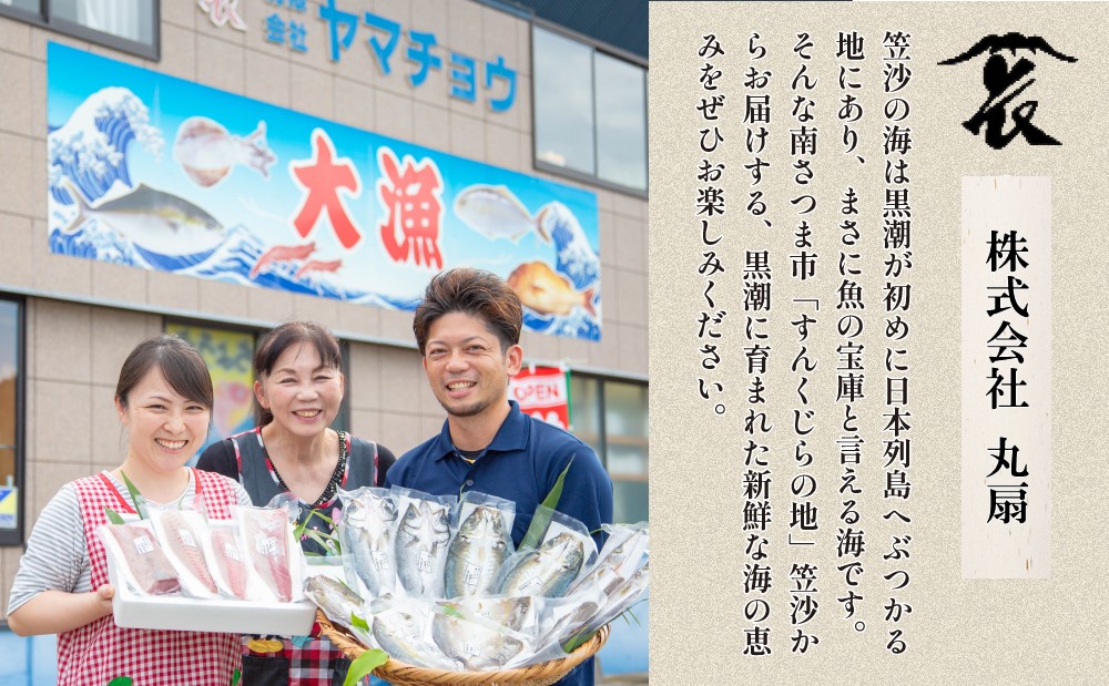 【鹿児島特産】希少 月日貝 約2.5kg （加熱調理用） ツキヒガイ つきひがい 貝 鹿児島県産 海鮮 BBQ バーベキュー アヒージョ 酒蒸し バター焼き シチュー 冷凍 南さつま市