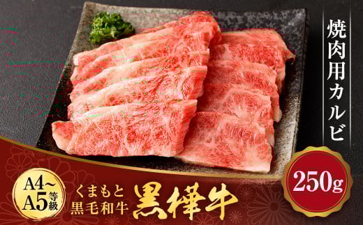 くまもと黒毛和牛 杉本本店 黒樺牛 A4~A5等級 焼肉用カルビ 約250g