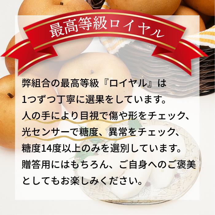 【南信州産】南水梨約2kg 5～6玉入り 糖度14度以上 ＜9月中旬より発送＞