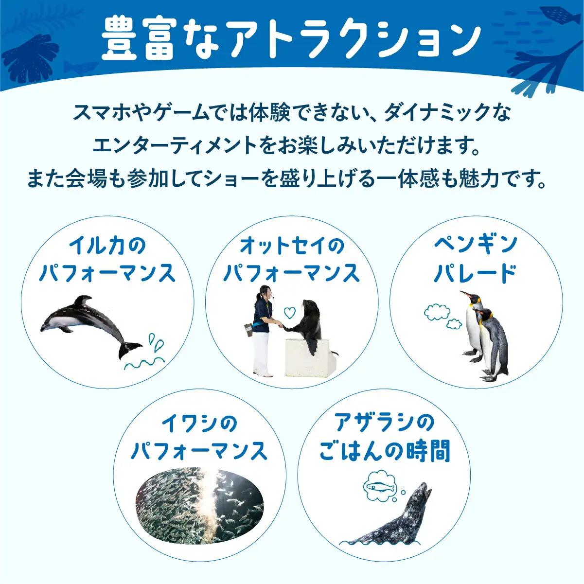 登別マリンパークニクス 入場券年間パスポート 大人 1名 【 チケット 北海道 観光 旅行 体験 パーク 入場券 入園券 割引 北海道 水族館 動物園 イルカ アシカ ペンギン パレード】mr-089