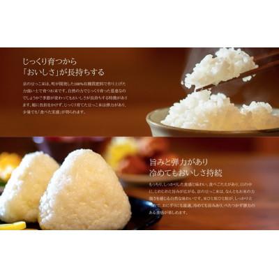 ふるさと納税 与謝野町 【先行受付】令和8年新米　数量限定　京都与謝野町産コシヒカリ「京の豆っこ米」玄米10kg×1袋 |  | 01